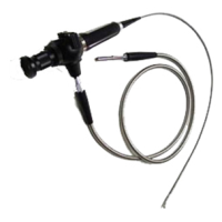 Flexible Borescope