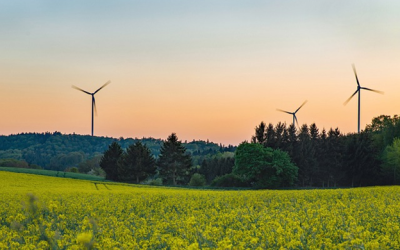 A Comprehensive Guide to Different Types of Borescopes