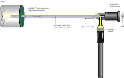How To Operate A Borescope Effectively