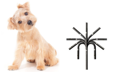 What is an Articulating Borescope?