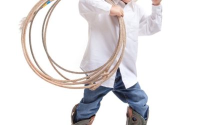 Gun Barrell Inspection Camera Round Up